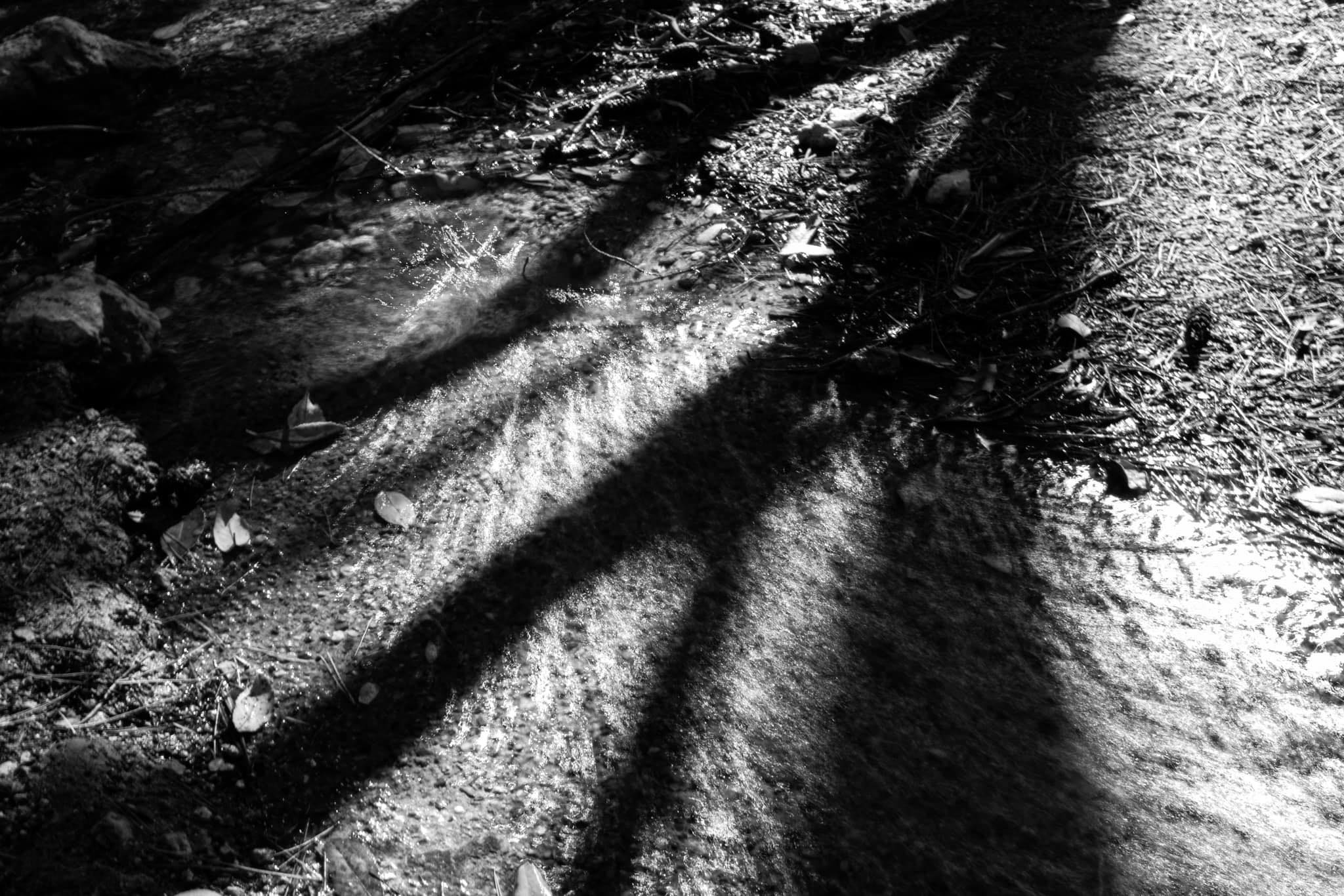 AURORA ZANDARA | FOTOGRAFIE